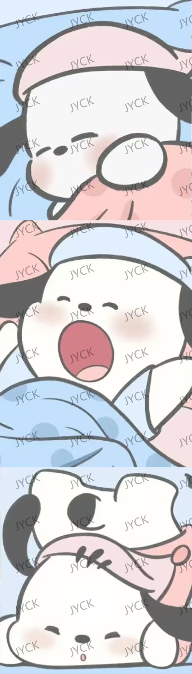 8096